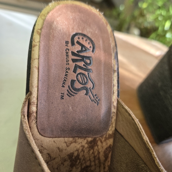 Carlos by Carlos Santana - Picture 4 of 12